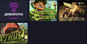 Cat Casino бонусы